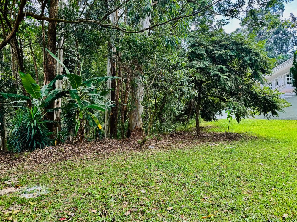 Terreno Tamboré 01 Barueri 